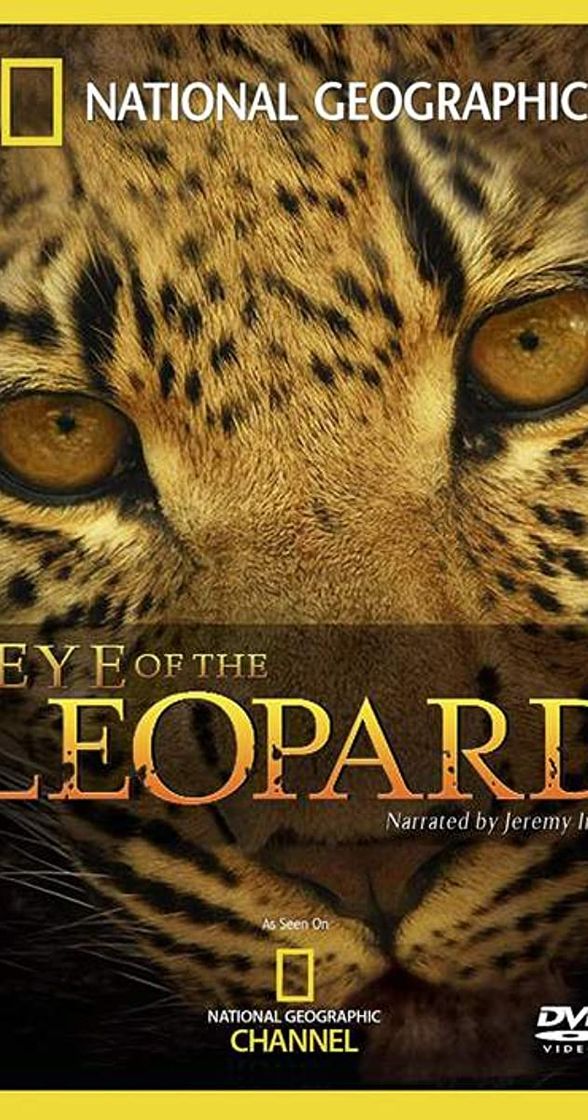 Movie El Ojo Del Leopardo