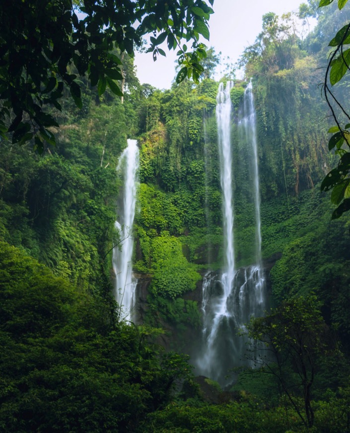 Lugar Sekumpul Waterfall