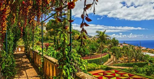 Jardín Botánico de Madeira