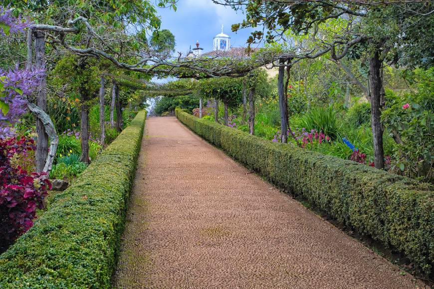 Place Palheiro Gardens