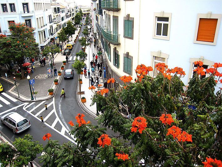 Lugar Rua Fernão de Ornelas