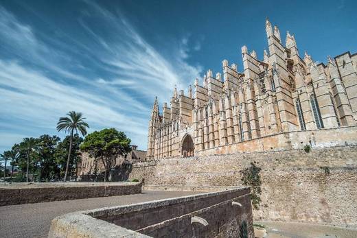 Catedral-Basílica de Santa María de Mallorca