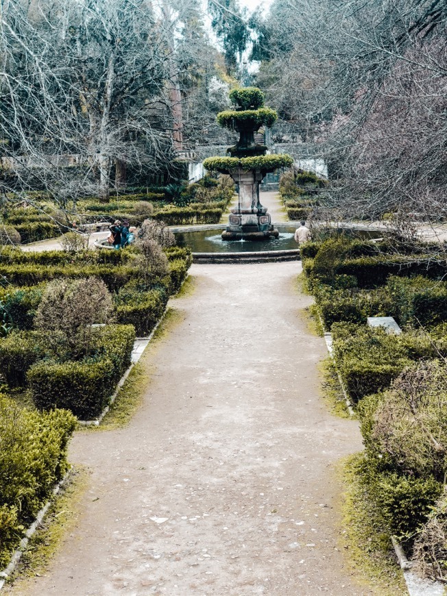 Lugar Jardim Botânico da Universidade de Coimbra