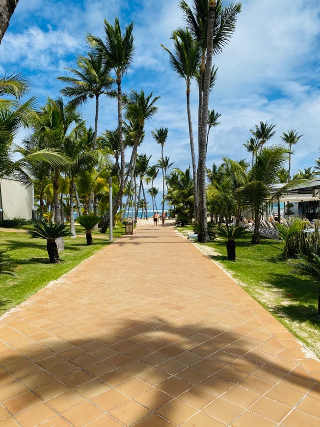 Lugar Hotel Riu Bambu