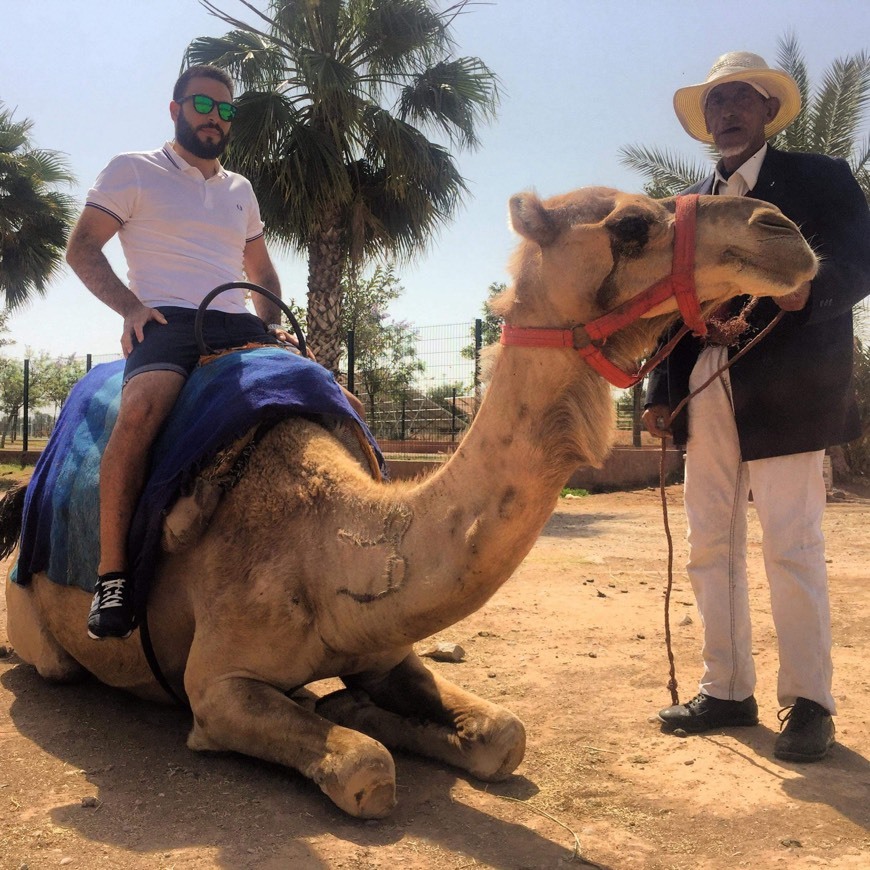 Places Dunes & Desert Quad Marrakech