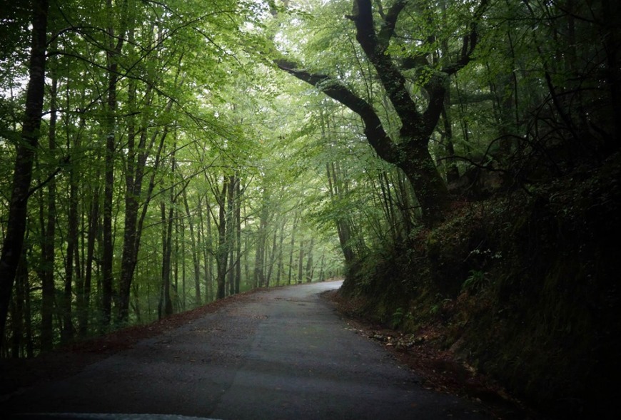 Lugar Peneda-Gerês National Park