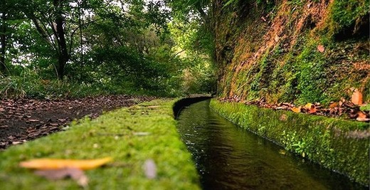 PR18 Levada Do Rei