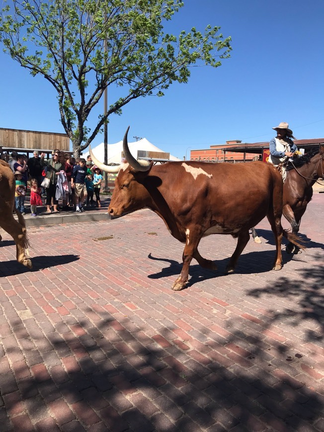 Lugar Fort Worth Stockyards