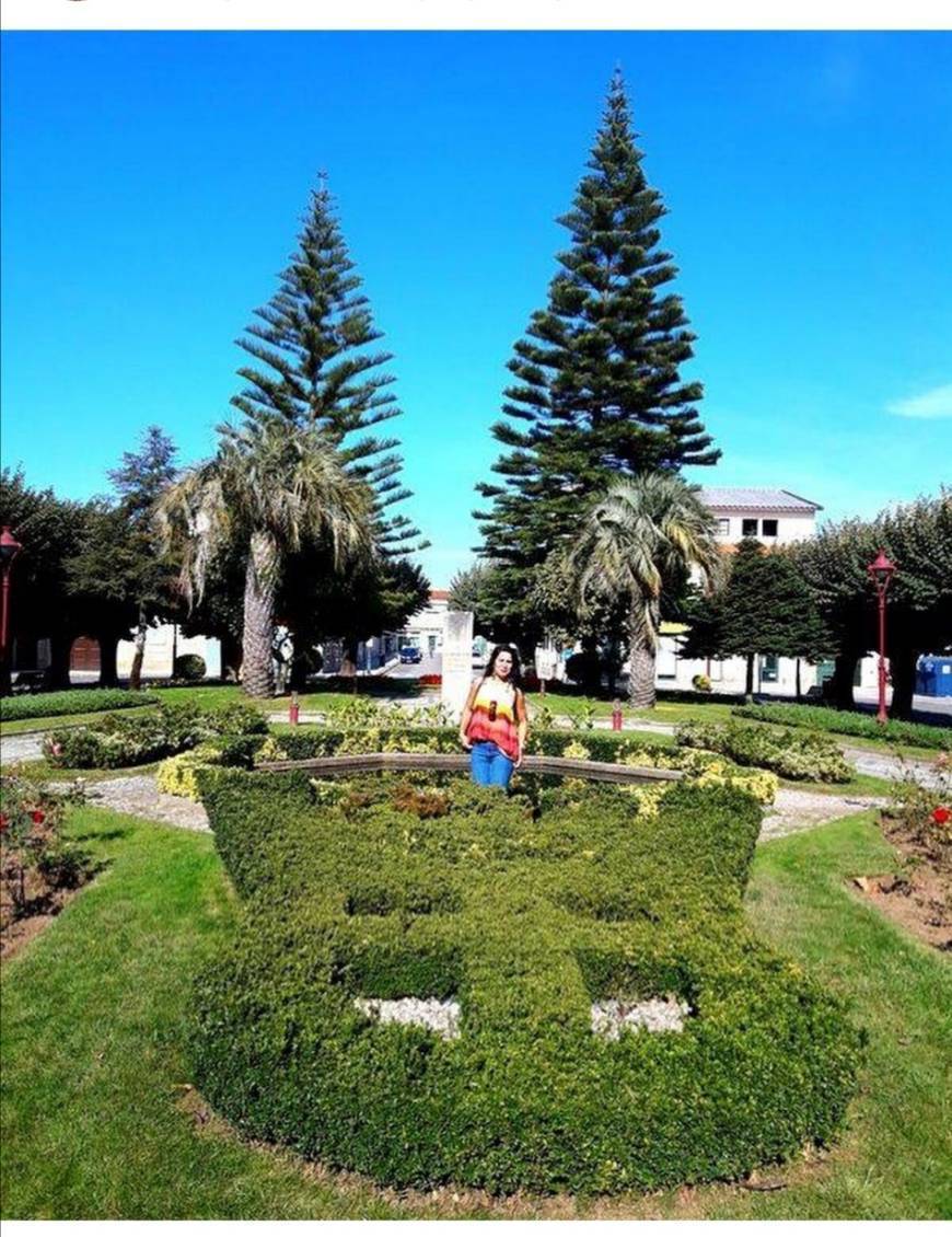 Place Praça Pública - Pedro Manuel Da Silva Martins