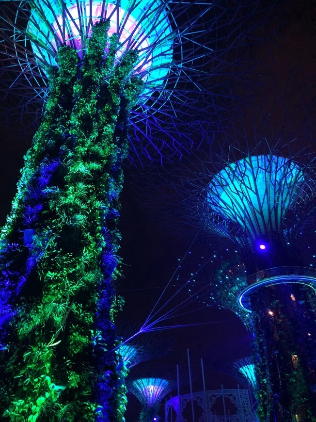 Lugar Gardens by the Bay