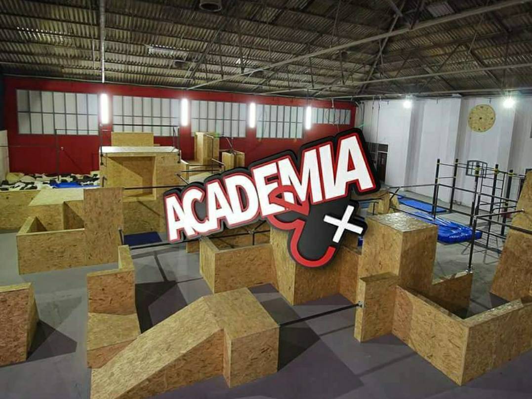 Academia Eu+