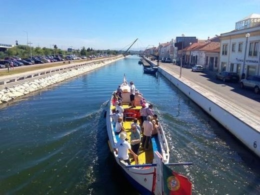 Passeios de barco pela Ria 