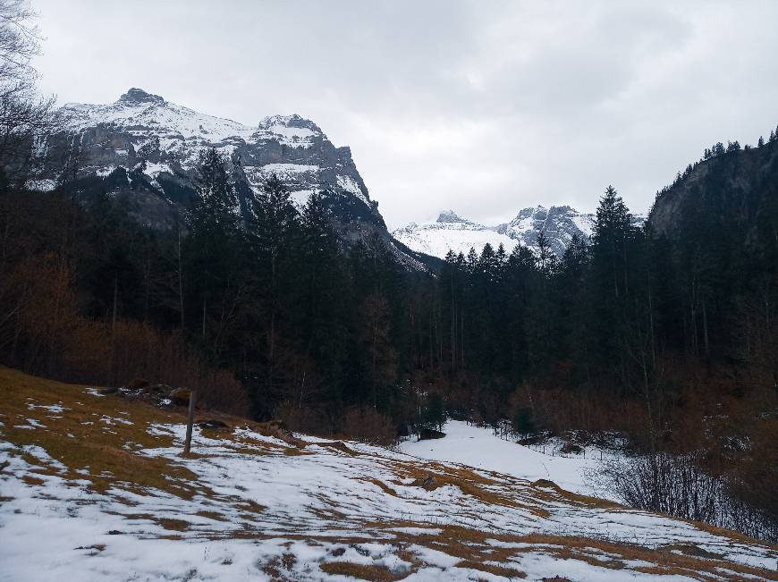 Kandergrund