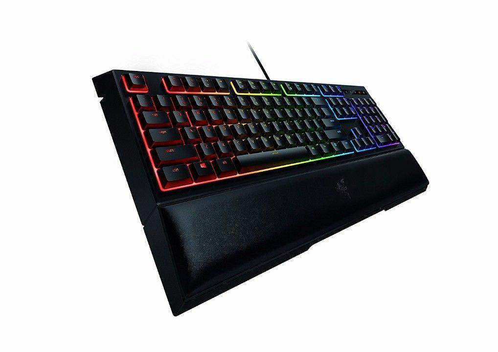 Fashion Razer ornata chroma