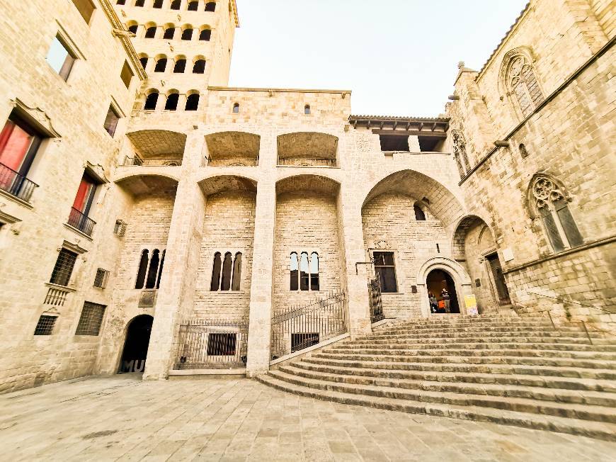 Place Plaça del Rei