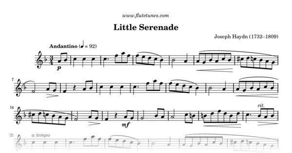 Fashion Little Serenade - J.Haydn 