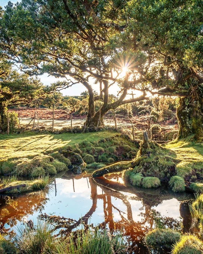 Lugar Paul da Serra