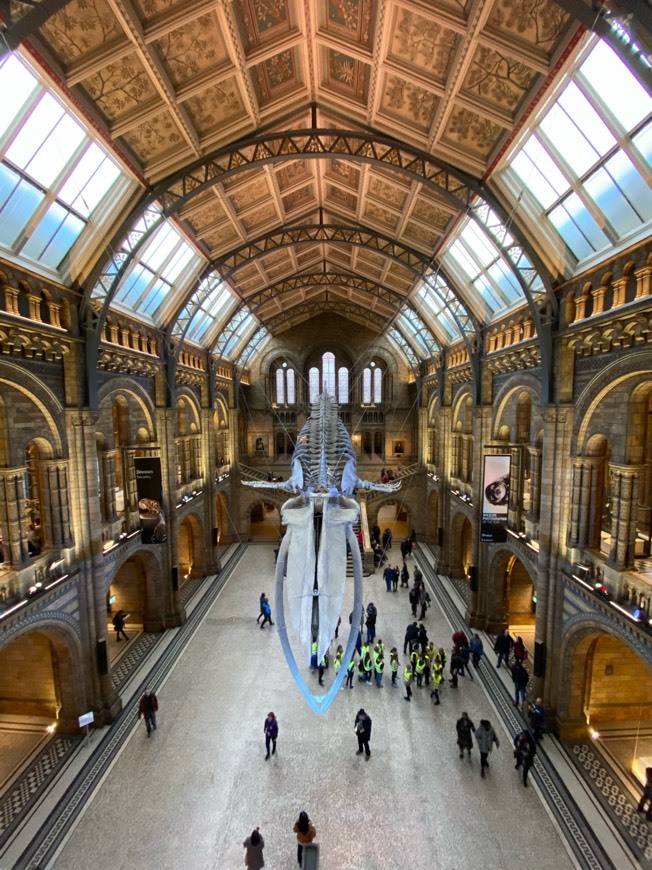 Place Natural History Museum