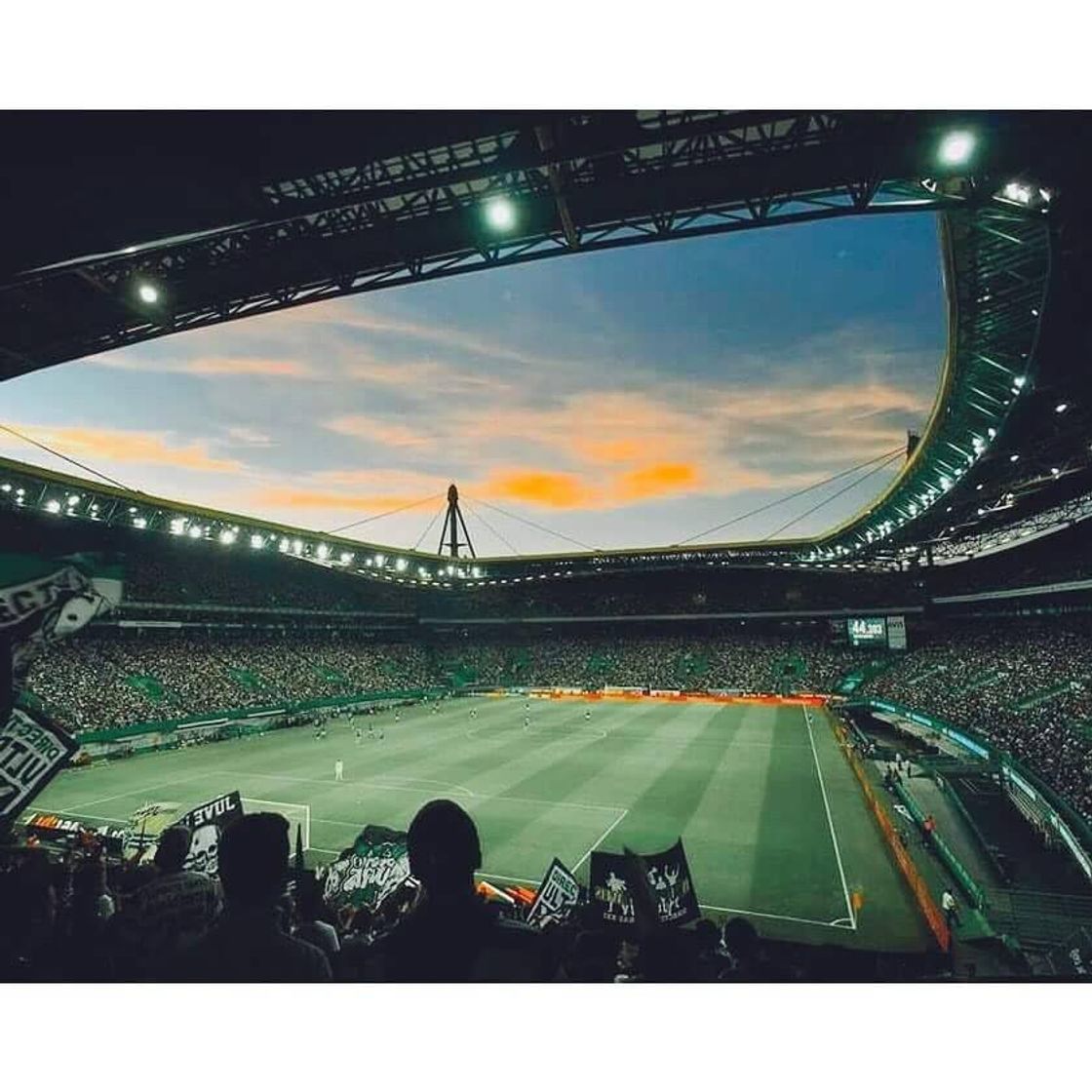 Place Estadio jose alvalade porta 4