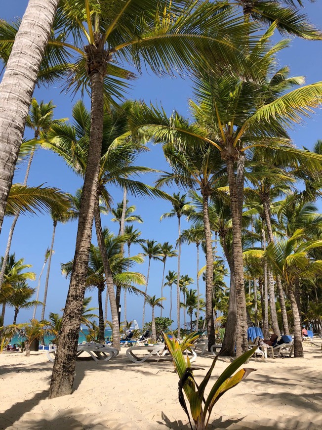 Punta Cana