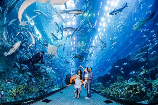 Place Dubai Aquarium & Underwater Zoo