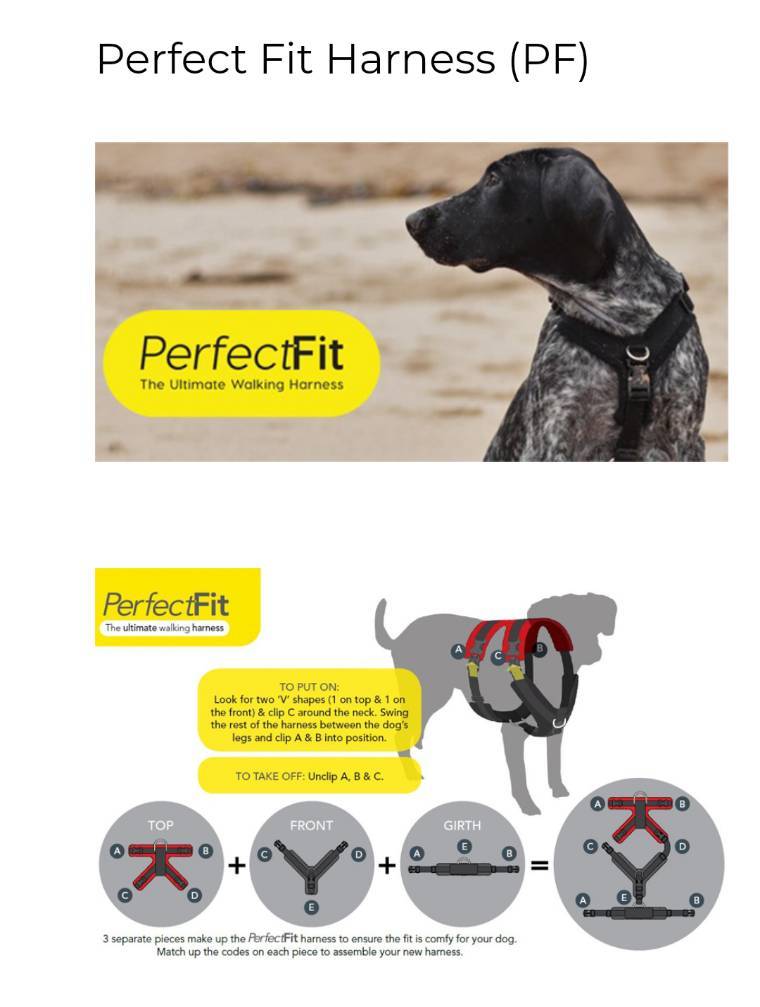 Fashion Perfect Fit Harness