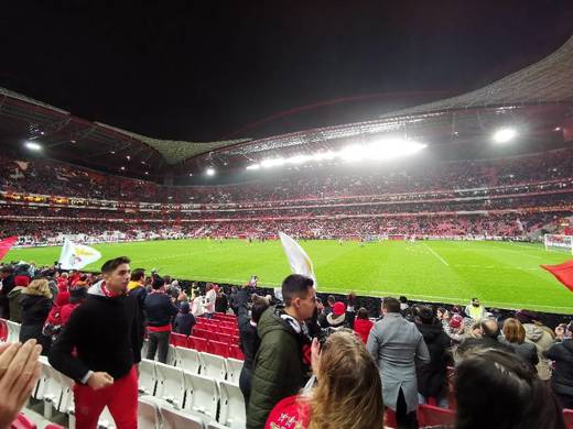 Estádio Sport Lisboa e Benfica