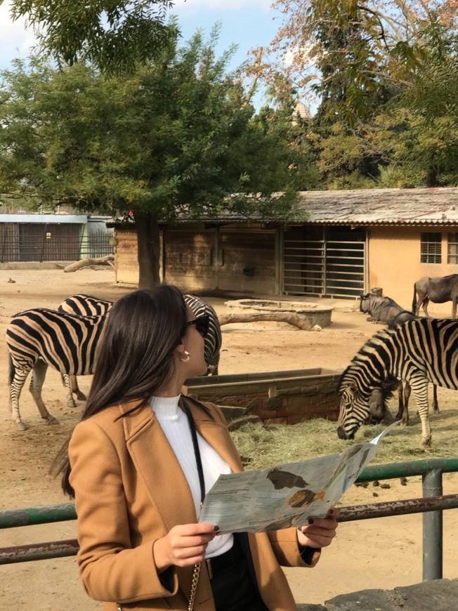 Lugar Zoo Barcelona