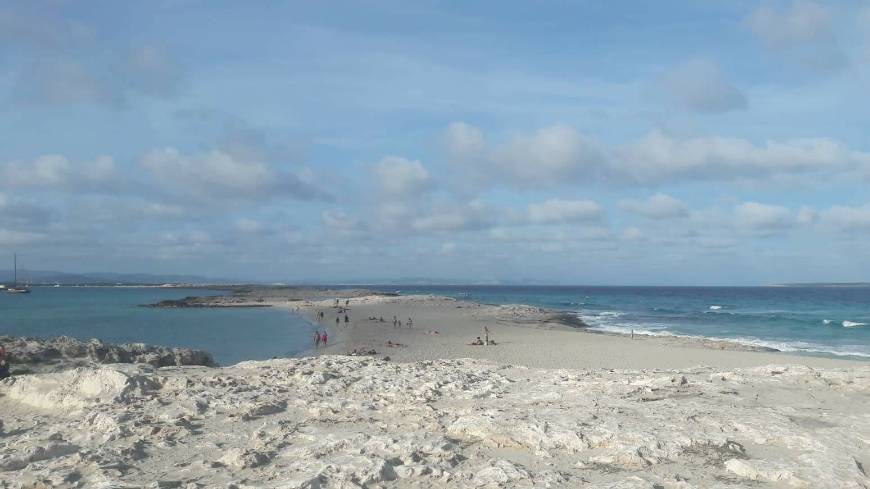 Place Playa De Ses Illetes