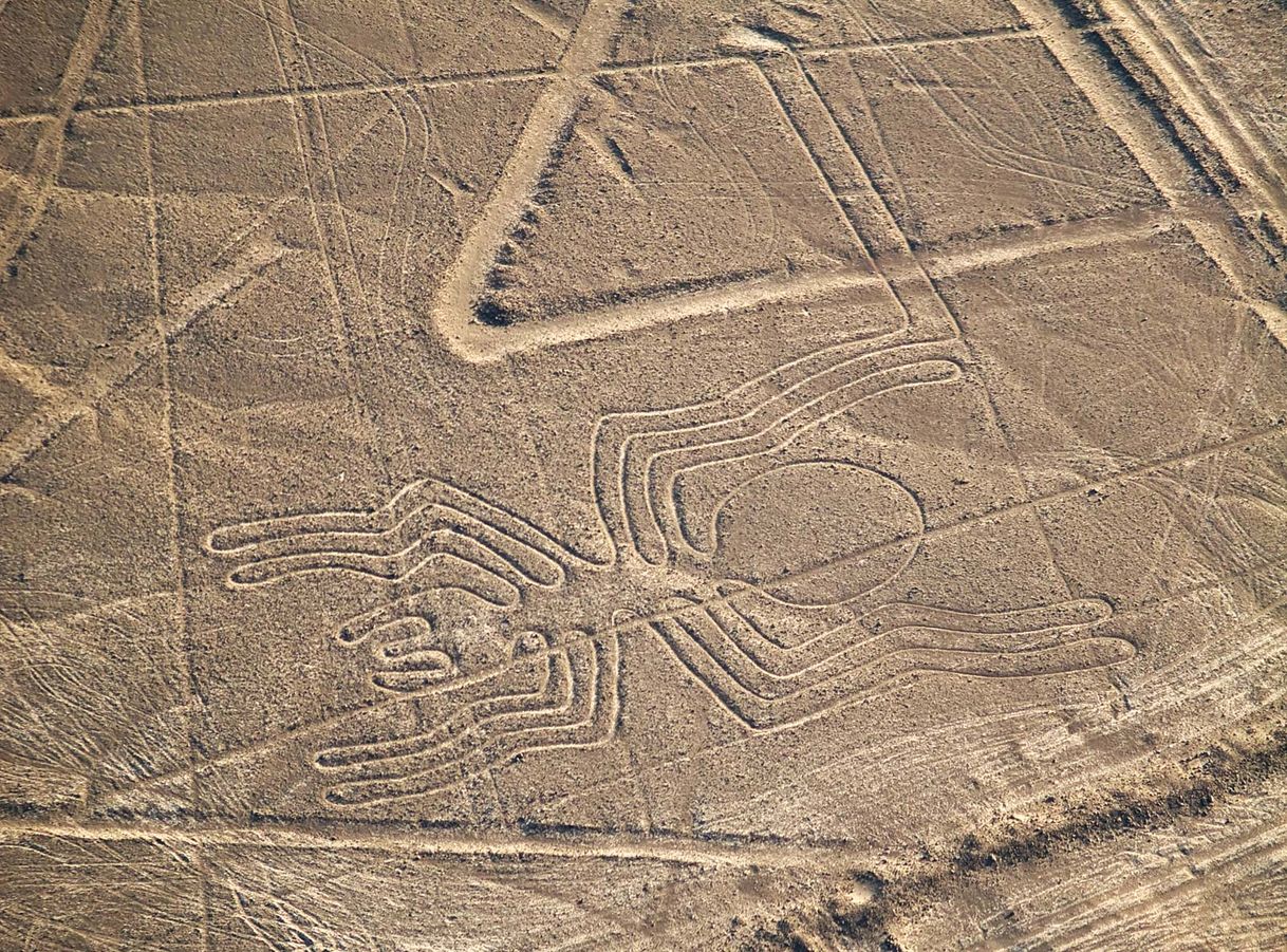 Social Líneas de Nazca - Perú