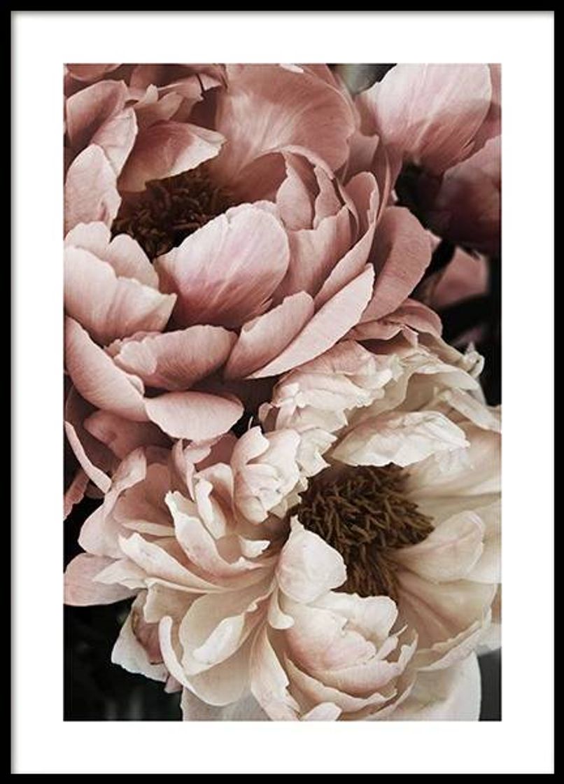 Productos Flower Poster 