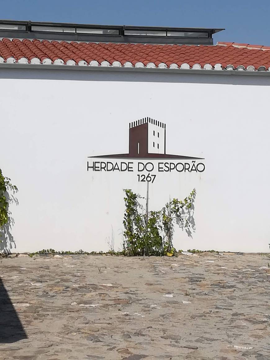 Restaurants Restaurante Herdade do Esporão