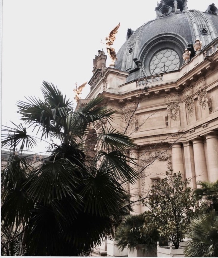 Place Petit Palais