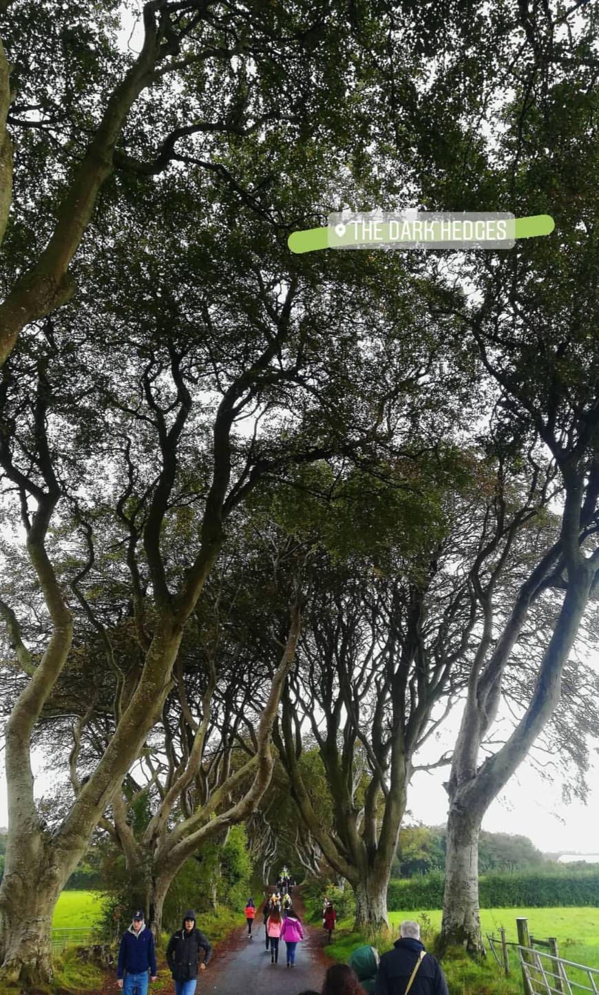 Lugar The Dark Hedges