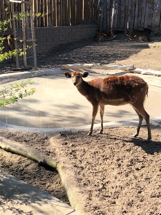 Lugar Jardim Zoológico de Lisboa