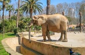 Lugar Zoo Barcelona