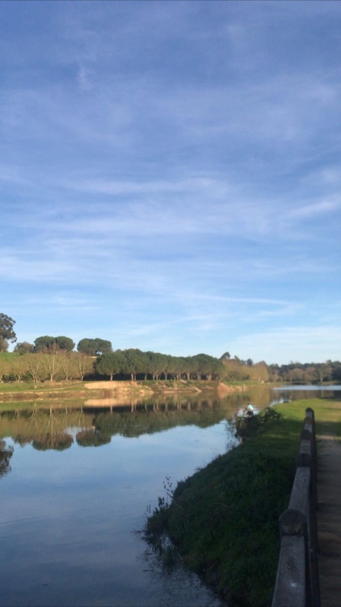 Lugar Bar Barragem Dos Patudos