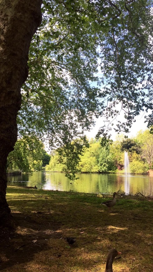 Lugar St. James's Park