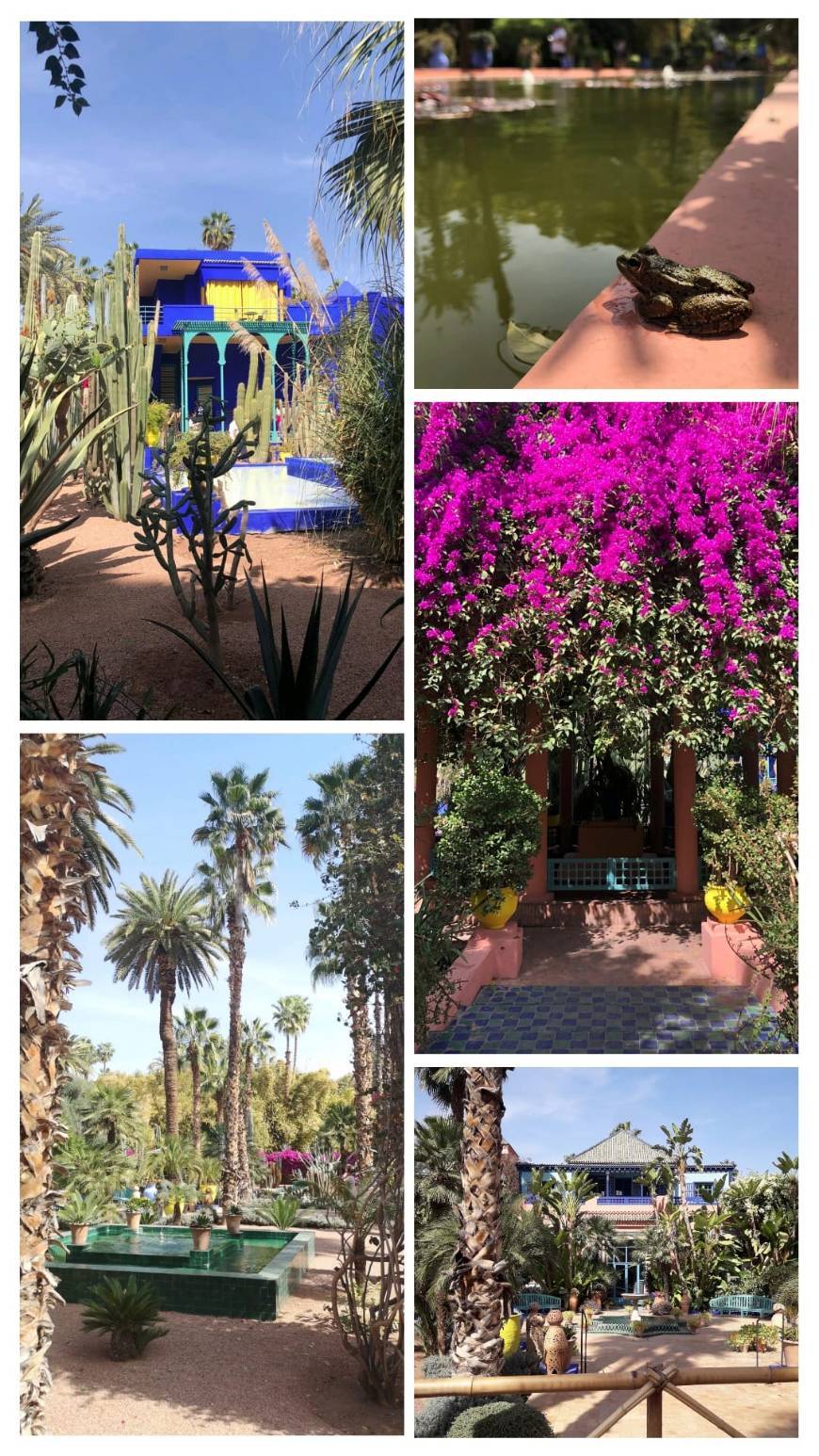 Place Jardín Majorelle