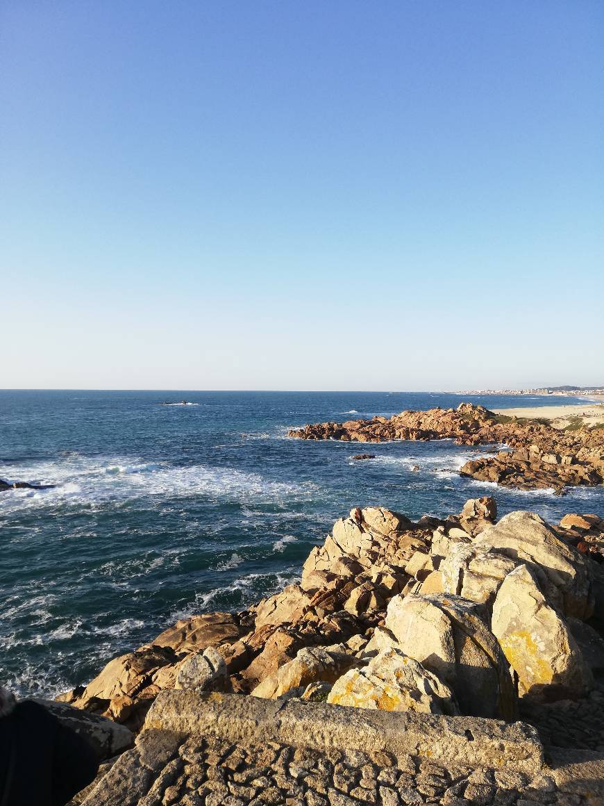 Restaurantes Leça da Palmeira