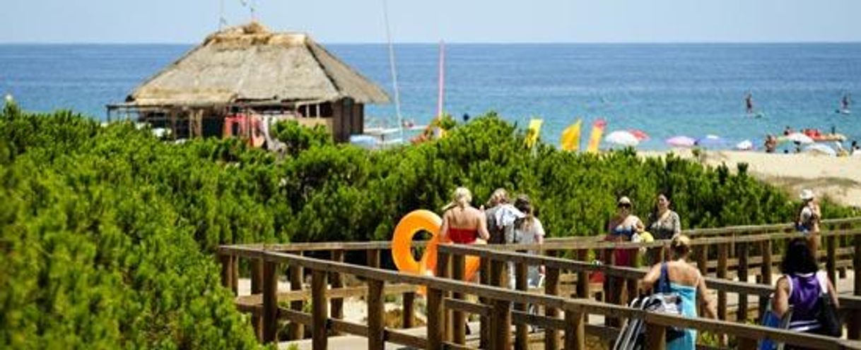 Restaurants Arenales Del Sol - Surf