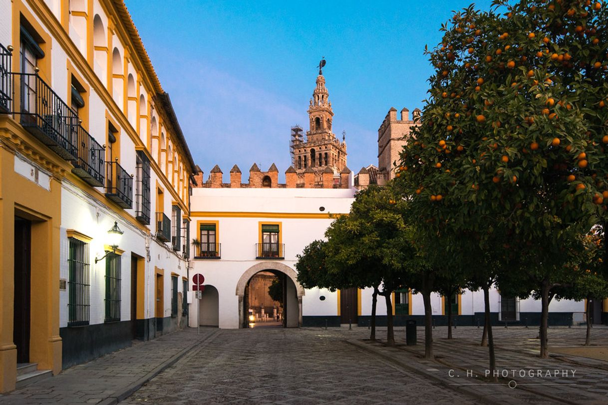 Lugar Patio Banderas