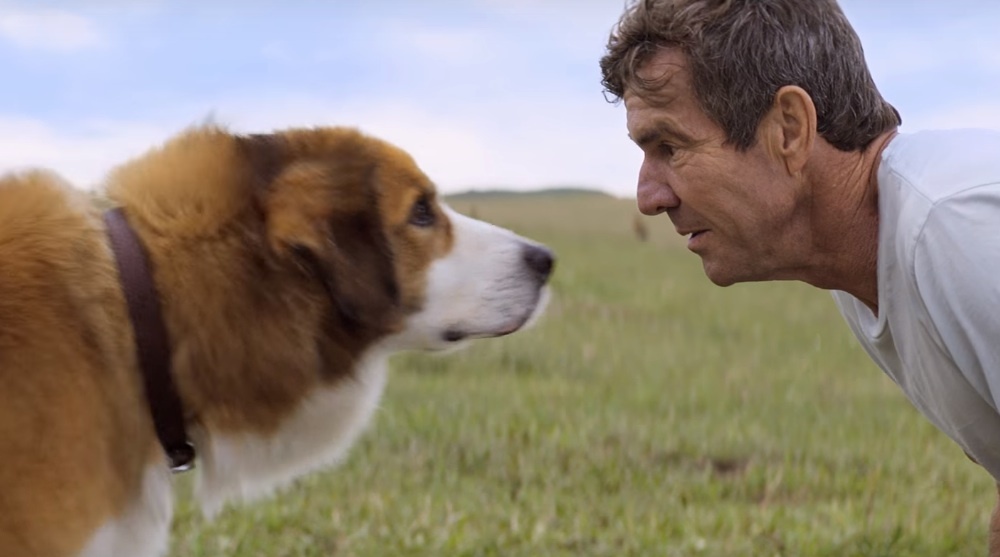 Movie Tu mejor amigo