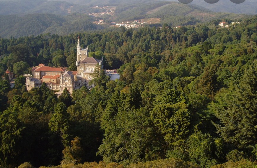 Lugar Mata Nacional do Buçaco