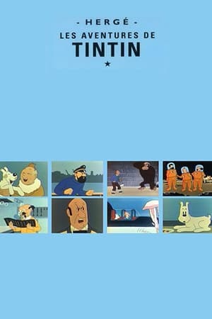 Serie Les Aventures de Tintin, d'après Hergé