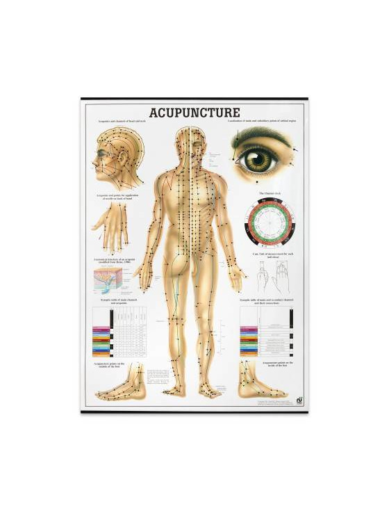 Producto Mapa "Acupunture" 