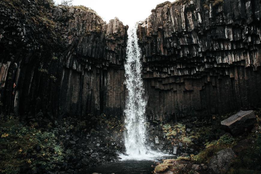 Place Svartifoss waterfall