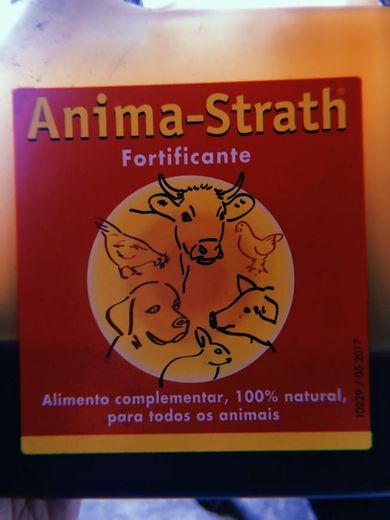 Stangest Anima Strath Complemento Nutricional