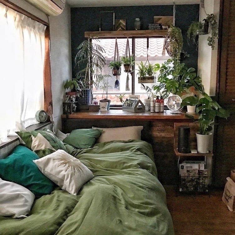 Social Green house ♻️