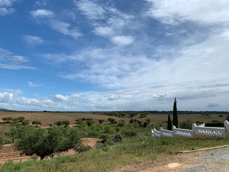 Place Pedrógão